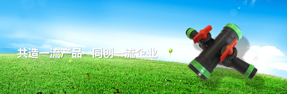 T303止回阀